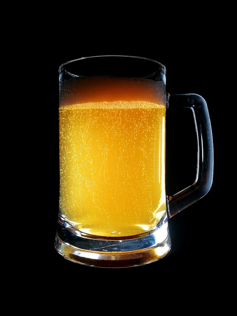 Elch Bräu - Elch Nix Amore