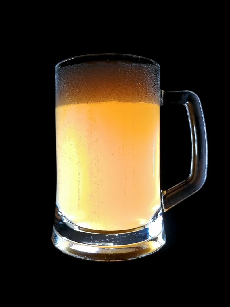 Elch Bräu - Elch Pils